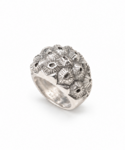 Anillo Barbados