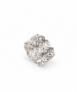 Anillo Berkane