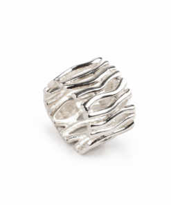 Anillo Corteza