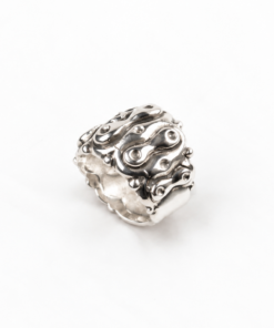 Anillo Milà