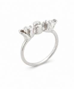 Anillo Aniko