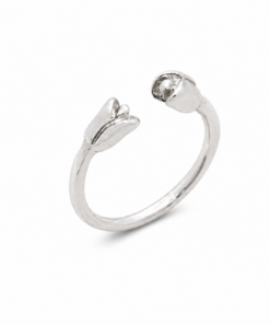 Anillo Cili