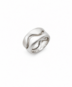 Anillo Puzzle